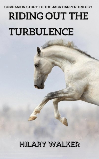 Hilary Walker - Riding Out the Turbulence, E-bok