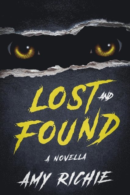 Amy Richie - Lost and Found, E-bok