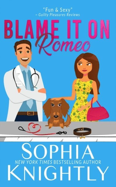 Sophia Knightly - Blame it on Romeo, E-bok
