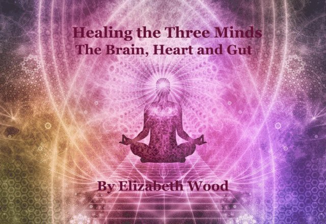 Elizabeth Wood - Healing the Three Minds - The Brain, Heart and Gut, E-bok