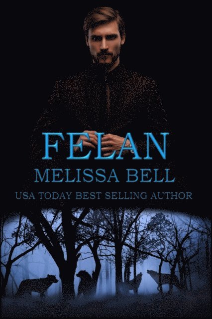 Melissa Bell - Felan, E-bok