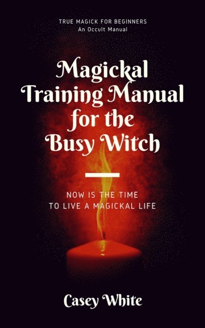 Casey White - Magickal Training Manual for the Busy Witch, E-bok