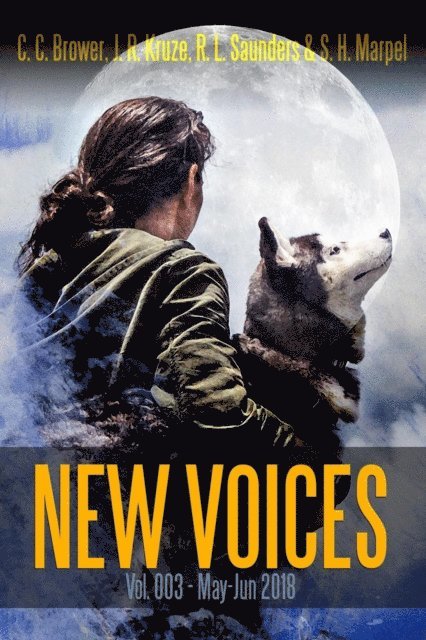 S. H. Marpel, R. L. Saunders, J. R. Kruze, C. C. Brower - New Voices Vol 003, E-bok