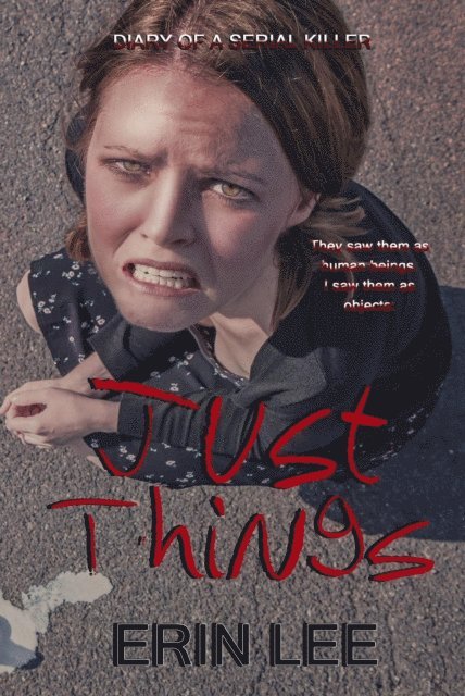 Erin Lee - Just Things, E-bok