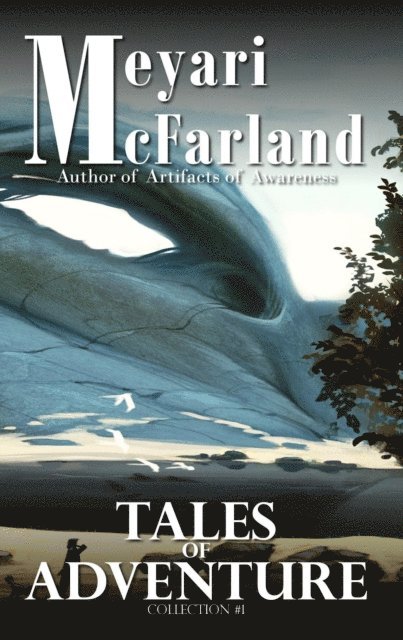 Meyari McFarland - Tales of Adventure, E-bok