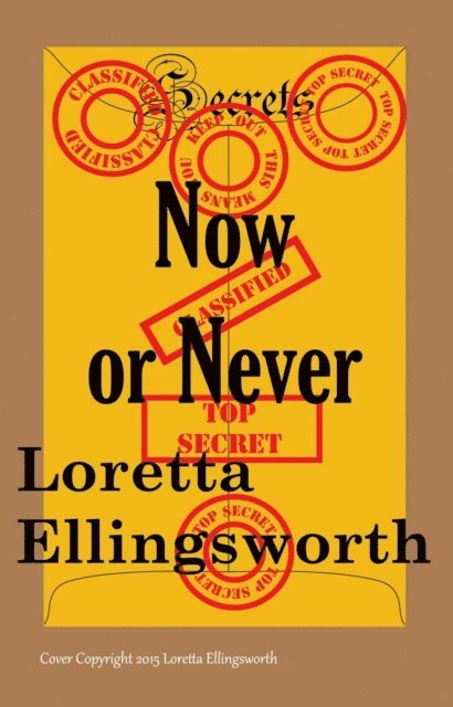 Loretta Ellingsworth - Now or Never, E-bok