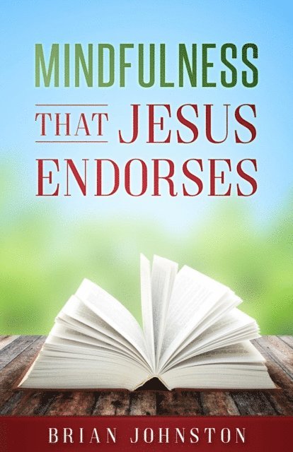 Brian Johnston - Mindfulness That Jesus Endorses, E-bok