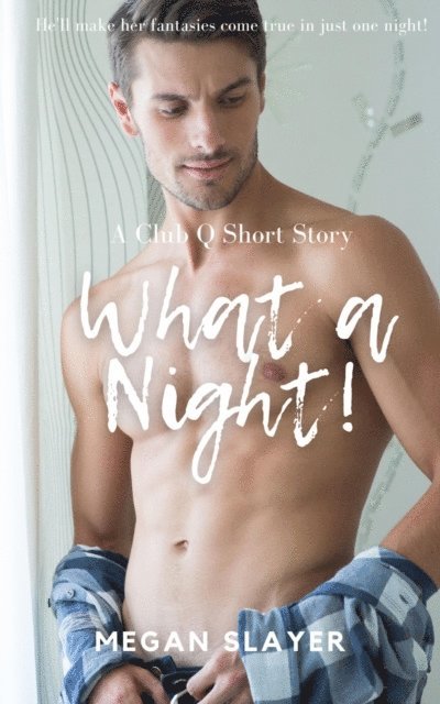 Megan Slayer - What a Night!, E-bok