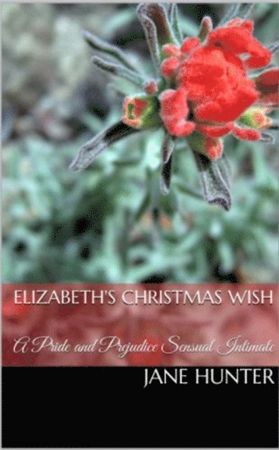 Jane Hunter - Elizabeth's Christmas Wish: A Pride and Prejudice Sensual Intimate, E-bok