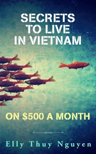 Elly Thuy Nguyen - Secrets to Live in Vietnam on $500 a Month, E-bok