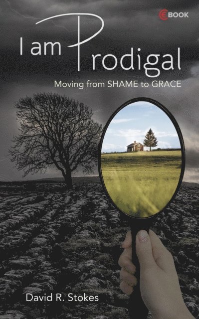 David R. Stokes - I Am Prodigal: Moving from Shame to Grace, E-bok