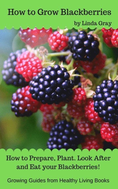 Linda Gray - How to Grow Blackberries, E-bok