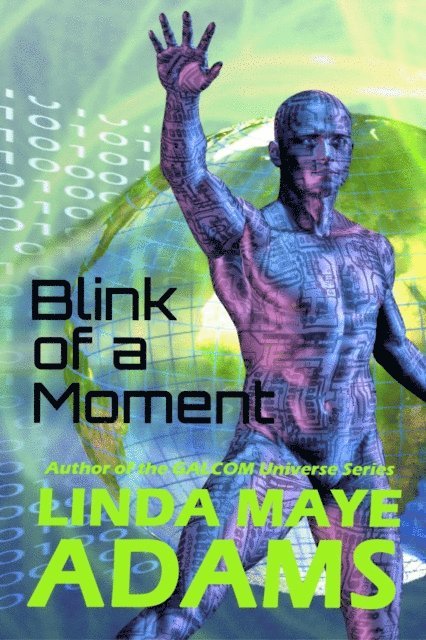 Linda Maye Adams - Blink of a Moment, E-bok