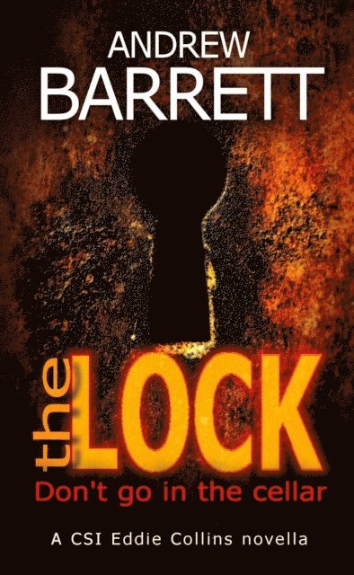 Andrew Barrett - Lock, E-bok