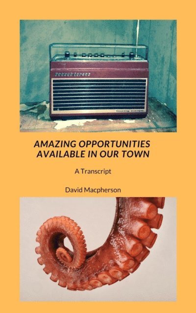 David Macpherson - Amazing Opportunities Available in Our Town, E-bok