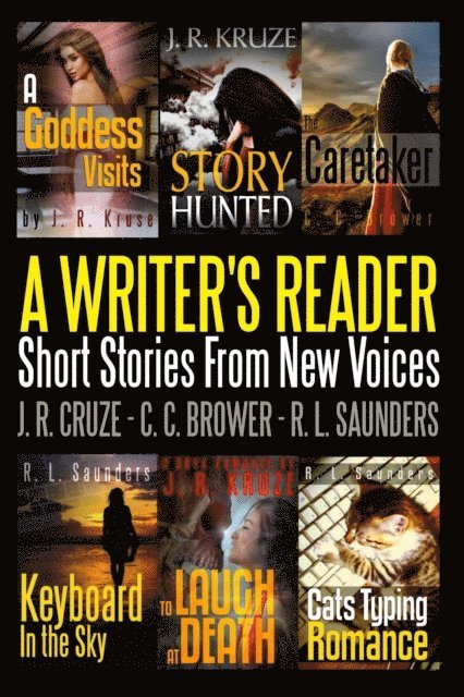 R. L. Saunders, C. C. Brower, J. R. Kruze - Writer's Reader: Short Stories From New Voices, E-bok