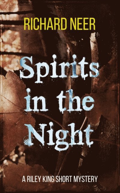 Richard Neer - Spirits in the Night, E-bok