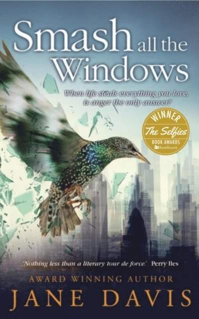 Jane Davis - Smash all the Windows, E-bok
