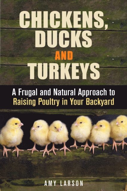 Amy Larson - Chickens, Ducks and Turkeys: A Frugal and Natural Approach to Raising Poultry in Your Backyard, E-bok. Tillgänglighet: Lägg i varukorg