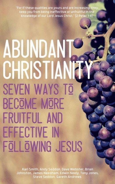 Hayes Press - Abundant Christianity, E-bok