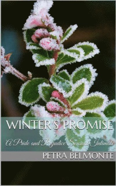 Petra Belmonte - Winter's Promise, E-bok