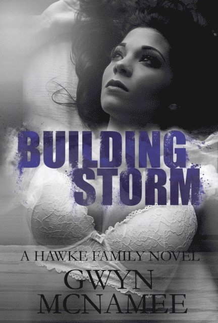 Gwyn McNamee - Building Storm: (A Hawke Family Novel), E-bok