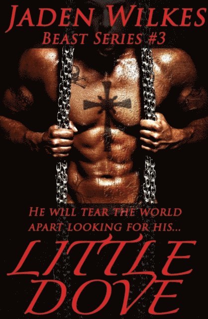 Jaden Wilkes - Little Dove, E-bok