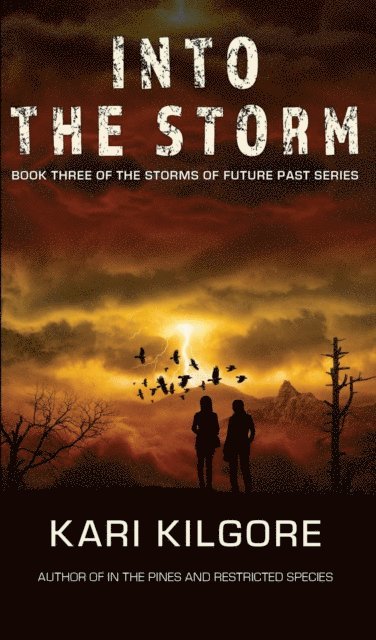Kari Kilgore - Into the Storm, E-bok