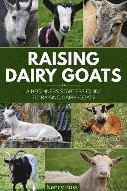 Nancy Ross - Raising Dairy Goats: A Beginners Starters Guide to Raising Dairy Goats, E-bok. Tillgänglighet: Lägg i varukorg