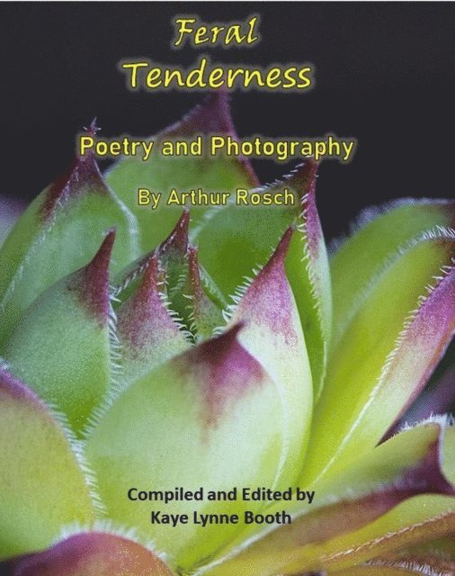 Arthur Rosch - Feral Tenderness, E-bok