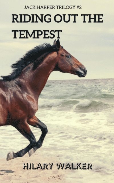 Hilary Walker - Riding Out the Tempest, E-bok