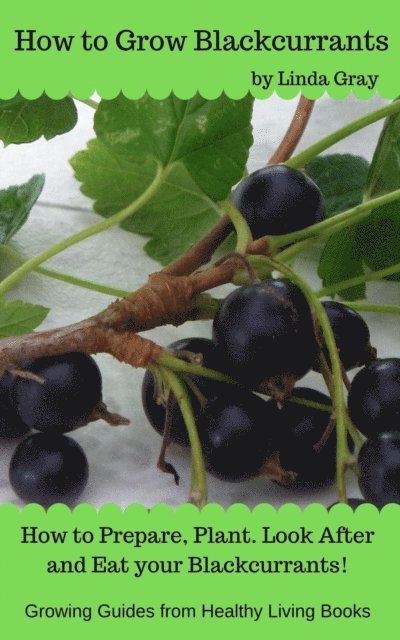 Linda Gray - How to Grow Blackcurrants, E-bok