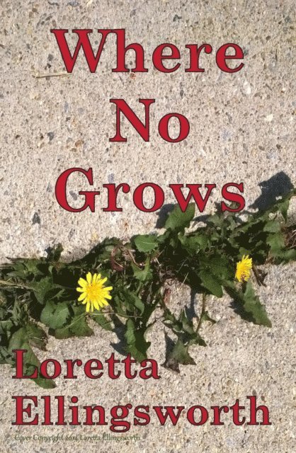 Loretta Ellingsworth - Where No Grows, E-bok