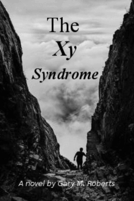 Gary M. Roberts - Xy Syndrome, E-bok. Tillgänglighet: Lägg i varukorg