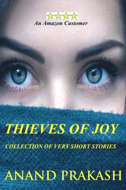 Anand Prakash - Thieves of Joy, E-bok