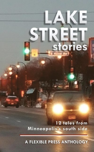 Drew Danielson, Megan Marsnik, Barry Madore, Lucy Rose Fischer, Don Browne, Edward Sheehy, Marcella Estibill, Stephen Wilbers, Will Kaiser, Teresa Ortiz, Stephen Parker, William E Burleson - Lake Street Stories, E-bok