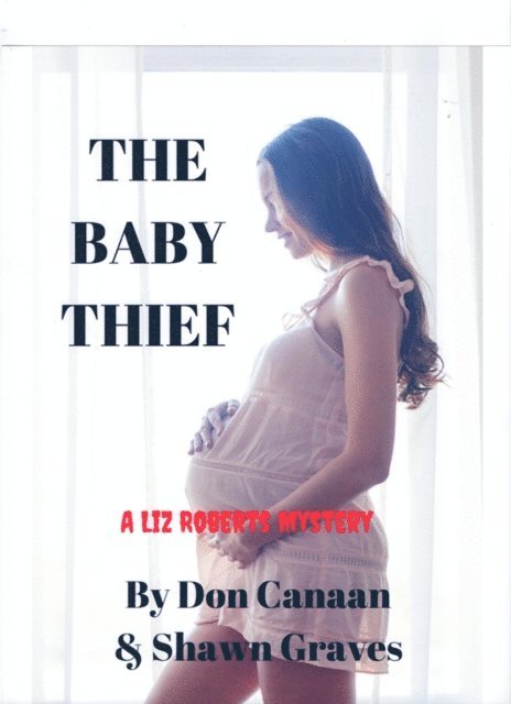 Shawn Graves, Don Canaan - Baby Thief, E-bok
