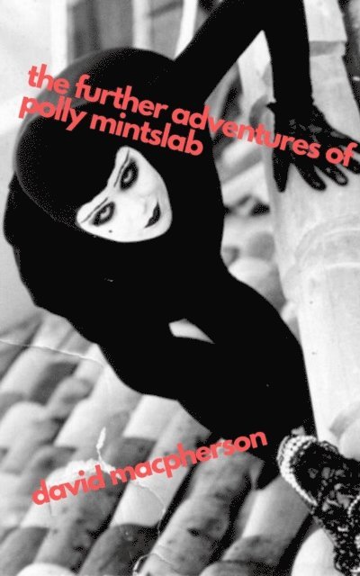David Macpherson - Further Adventures of Polly Mintslab, E-bok