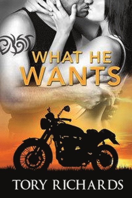 Tory Richards - What He Wants, E-bok