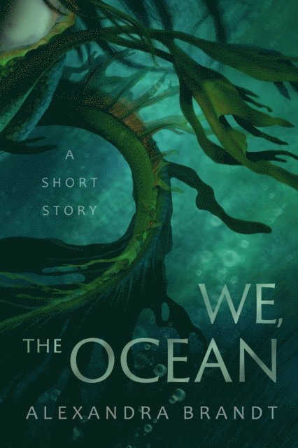 Alexandra Brandt - We, The Ocean, E-bok