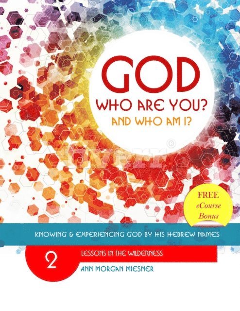 Ann Morgan Miesner - God Who Are You? And Who Am I? Knowing and Experiencing God by His Hebrew Names: Lessons in the Wilderness, E-bok. Tillgänglighet: Lägg i varukorg