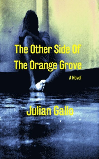 Julian Gallo - Other Side Of The Orange Grove, E-bok