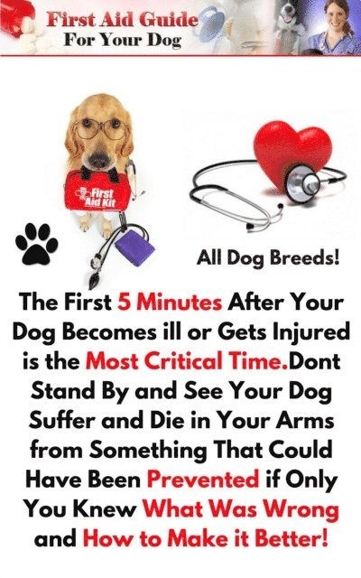 Darryl Craig - First Aid Guide for Your Dog, E-bok. Tillgänglighet: Lägg i varukorg