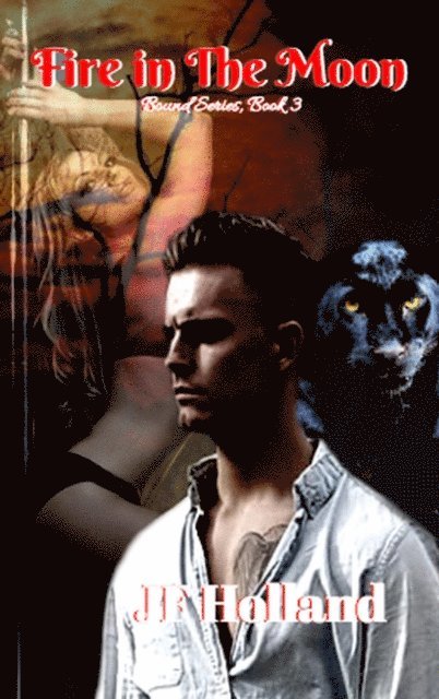JF Holland - Fire in The Moon, E-bok