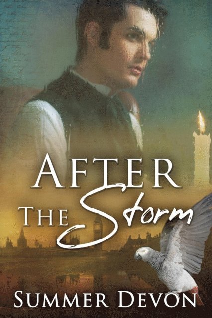 Summer Devon - After the Storm, E-bok