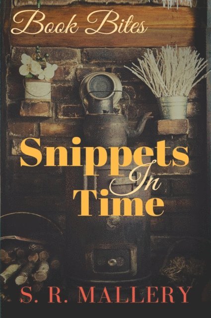 S.R. Mallery - Book Bites: Snippets in Time, E-bok