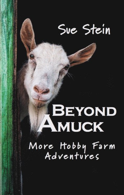 Sue Stein - Beyond Amuck: More Hobby Farm Adventures, E-bok
