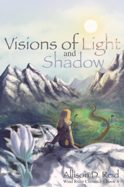 Allison D. Reid - Visions of Light and Shadow, E-bok