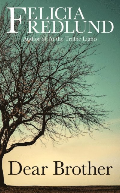 Felicia Fredlund - Dear Brother, E-bok