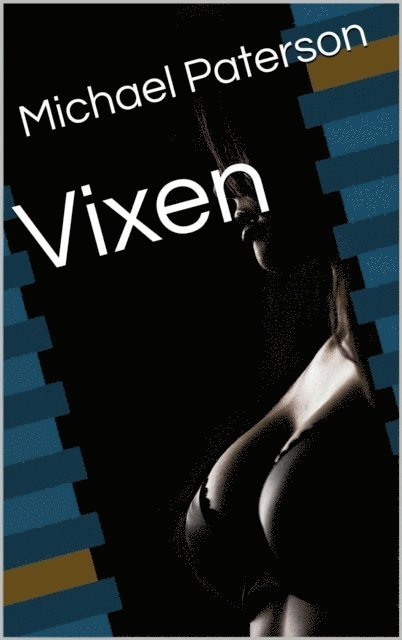 michael paterson - VIXEN, E-bok